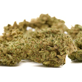 Dried cannabis buds of Granddaddy Purple THCa flower from Lucky Charms Wholesale