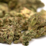 Dried cannabis buds from Lucky Charms THCa Hemp Flower Smalls Wholesale with rich terpene profile