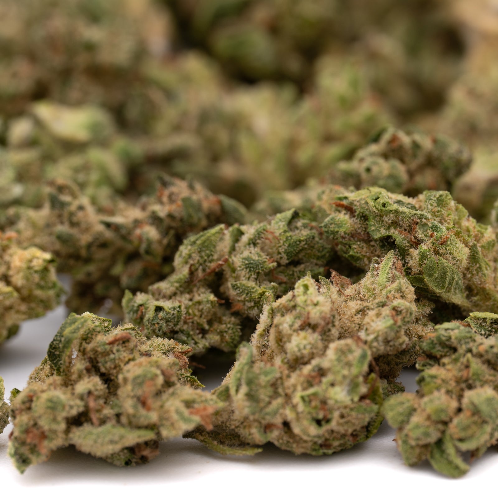 Close-up of green cannabis buds from Lucky Charms THCa Hemp Flower Smalls Wholesale showcasing terpene profile