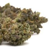 Close-up of Lung Buster Indoor THCa Flower with vibrant green, purple, orange hairs, and frosty trichomes