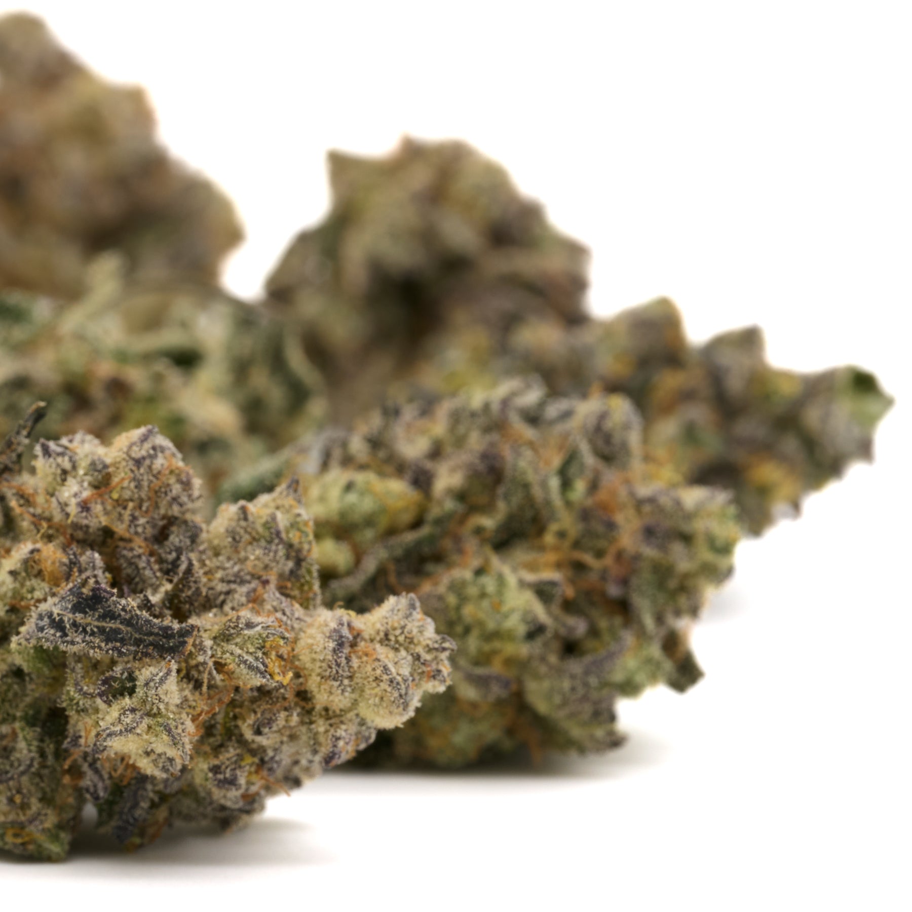 Close-up of dried Lung Buster Indoor THCa Flower with trichomes and purple orange hues