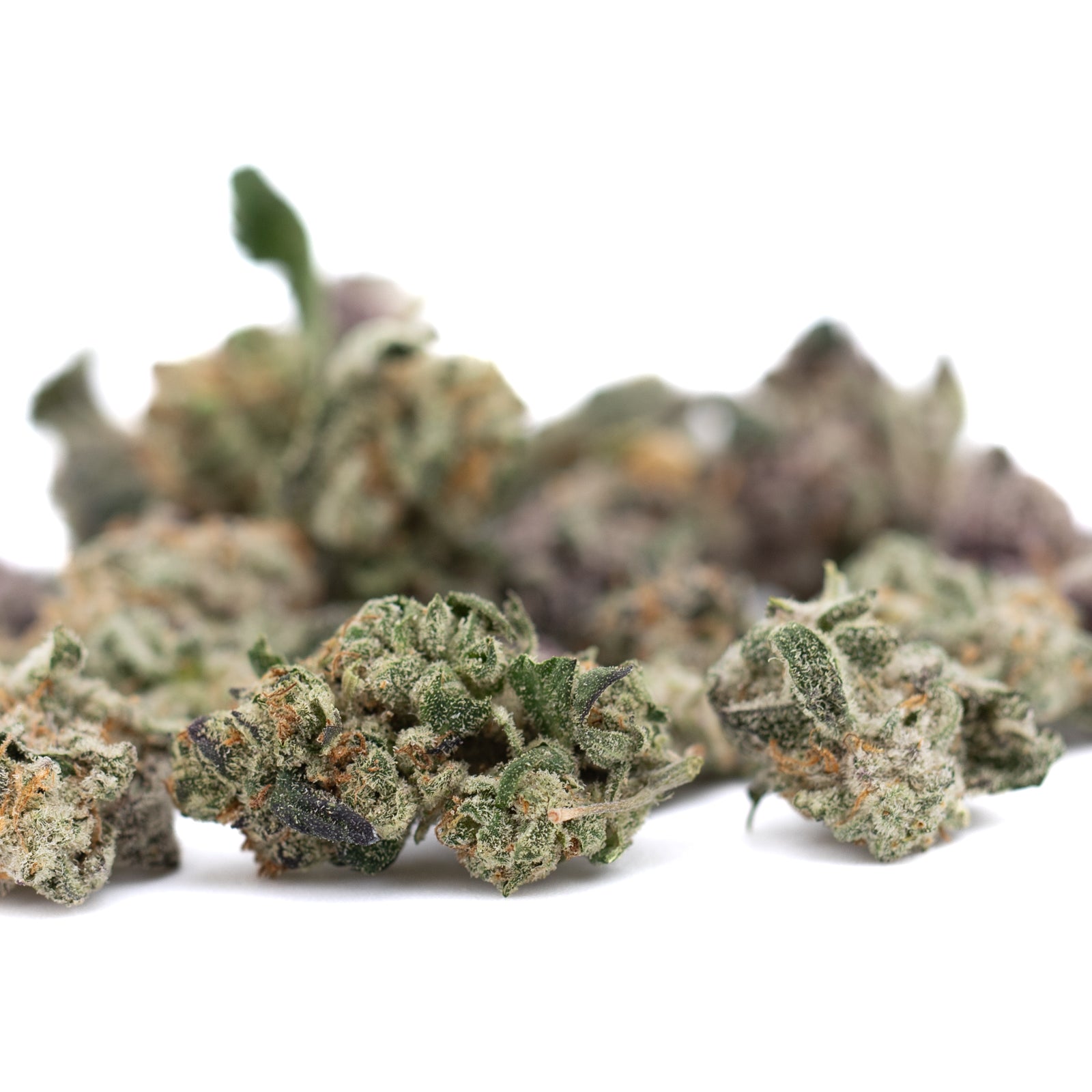 Dried cannabis buds from Lung Buster Indoor THCa Flower Smalls featuring Udder Madness Don Mega