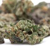 Dried Lung Buster Indoor THCa Flower Smalls with orange hairs and purple hues