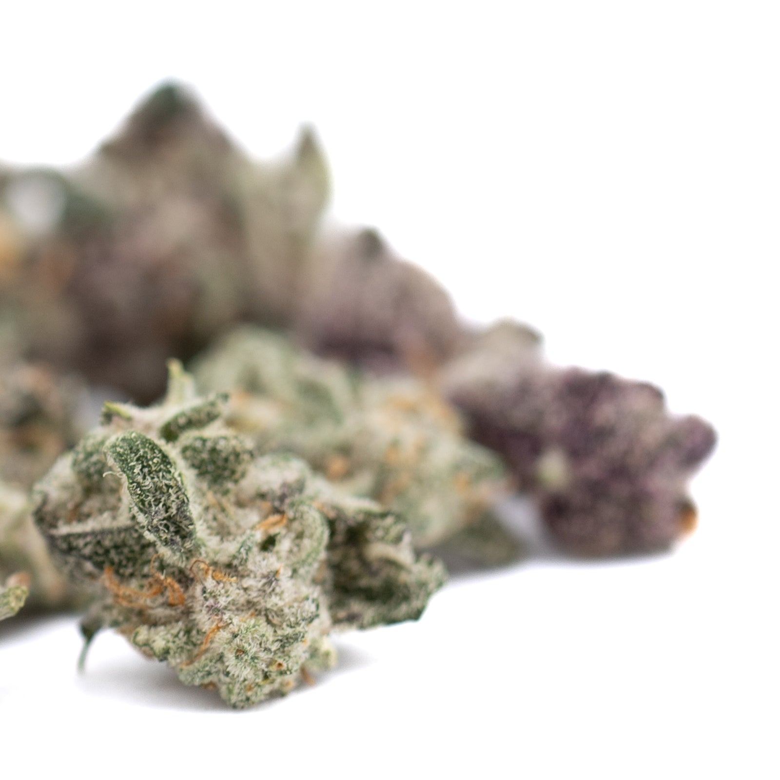 Lung Buster Indoor THCa Flower Smalls featuring Udder Madness Don Mega cannabis buds