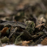 Dried green tea leaves with brown fragments for Lung Buster Indoor Wholesale 1LB premium THCA