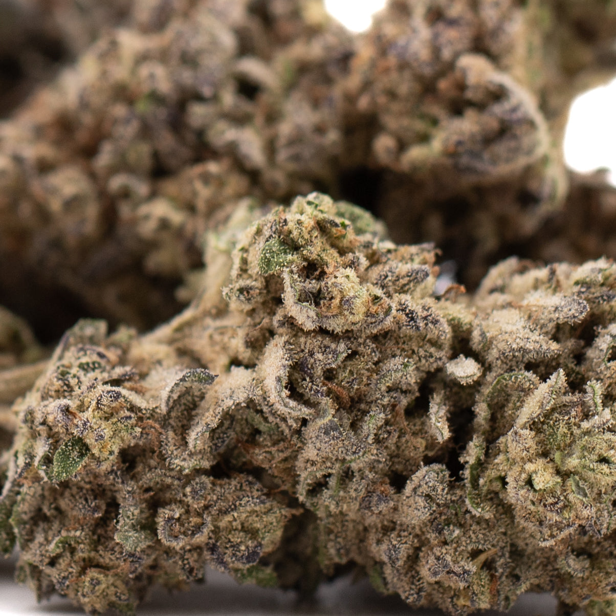 Lung Buster THCa hemp flower bud with green hues and trichomes