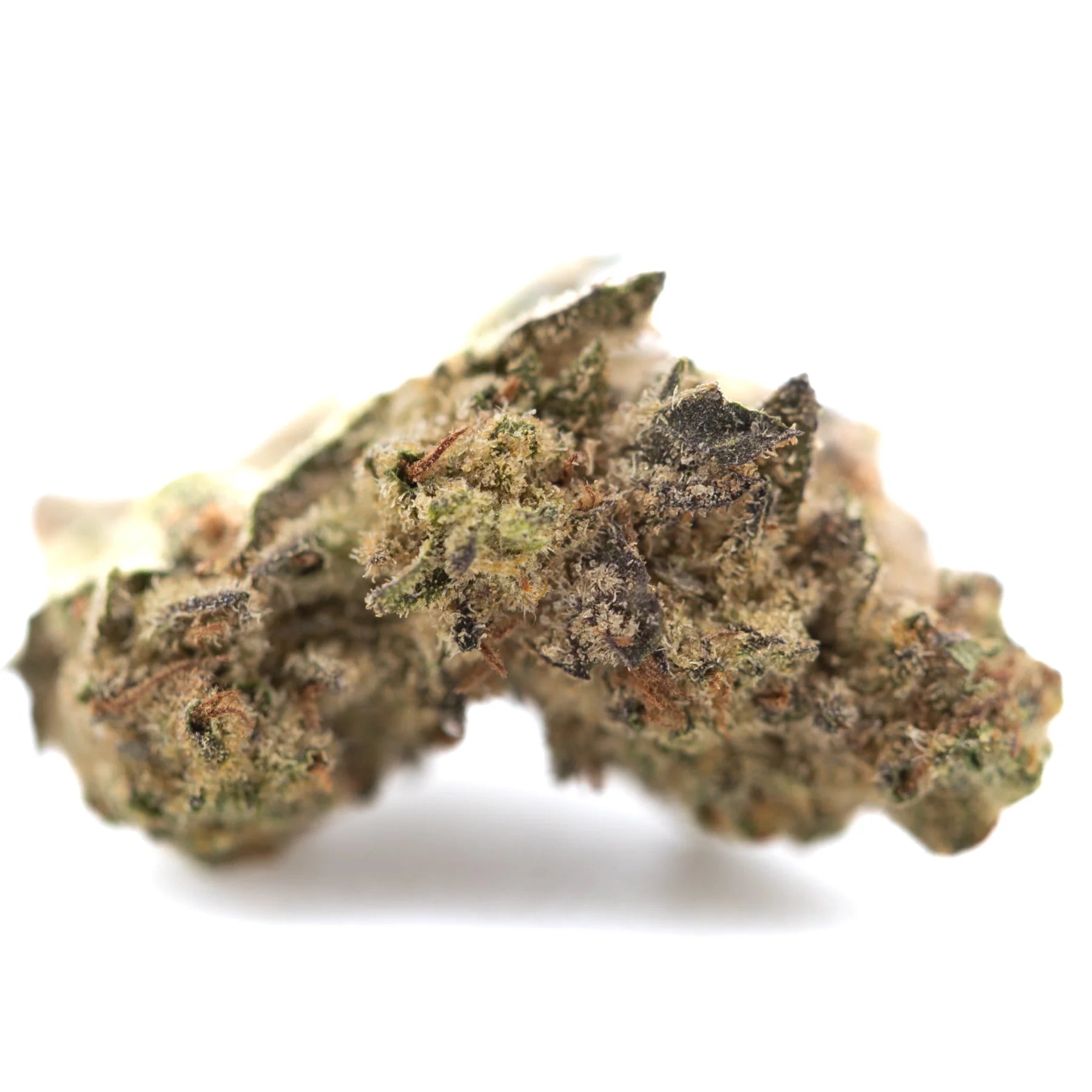 A dense lung buster thca hemp flower with green brown and orange hues covered in trichomes by solfire gardens total cannabinoid