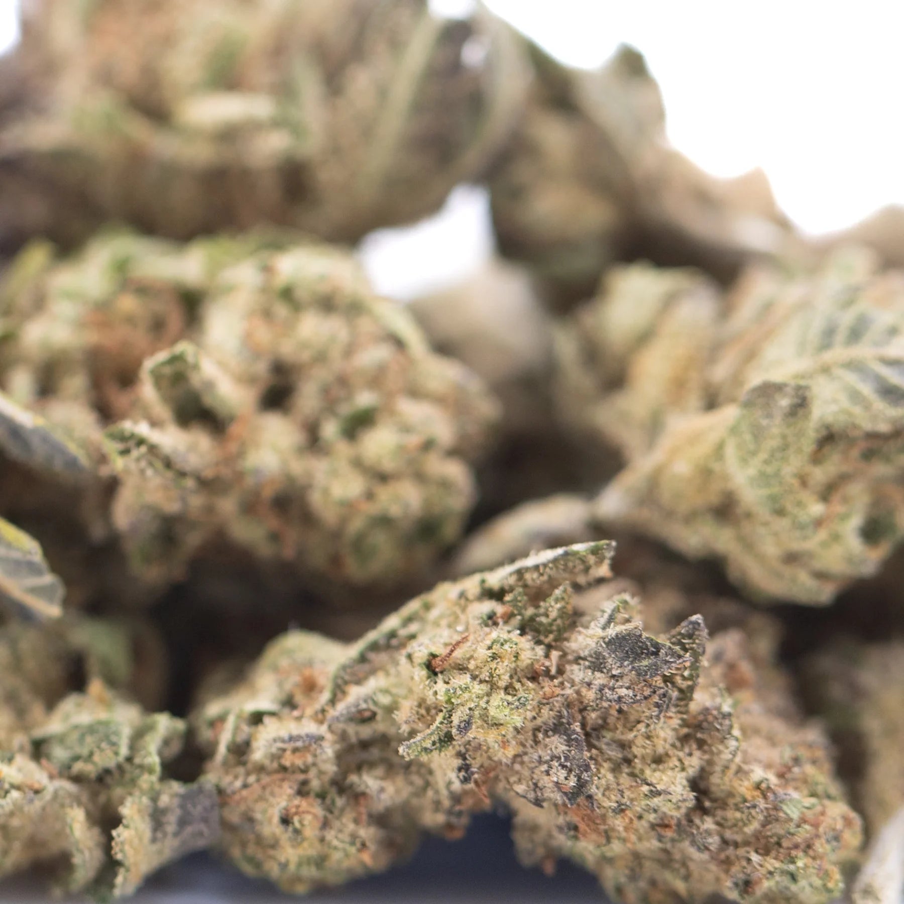 Green and brown frosty lung buster thca hemp flower greenhouse smalls by solfire gardens with high total cannabinoid content