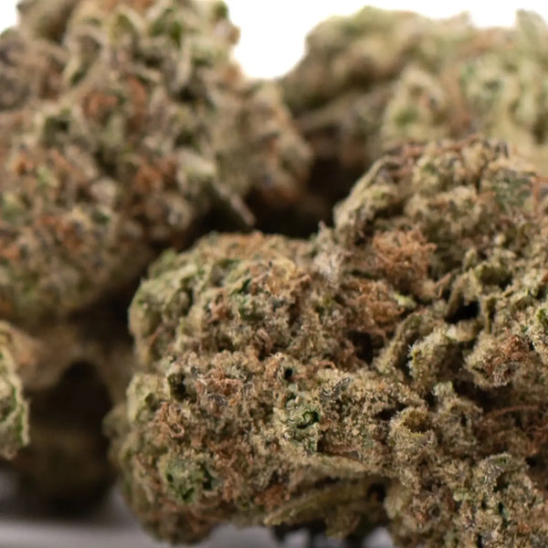 Comparing Daily Grape, Halle Berry & Cali Burger