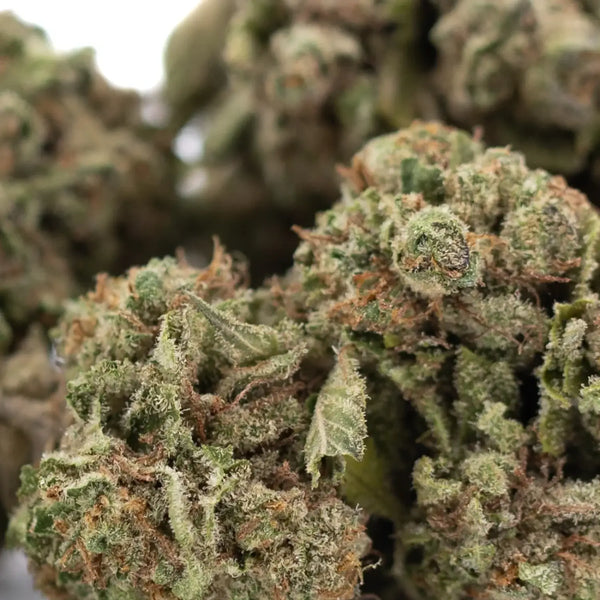 Finding THCA Wholesalers Near You