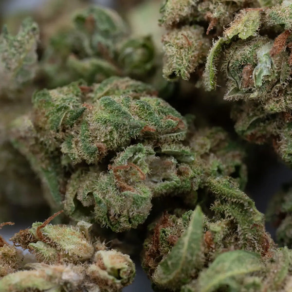 What is Full-Term THCA Flower