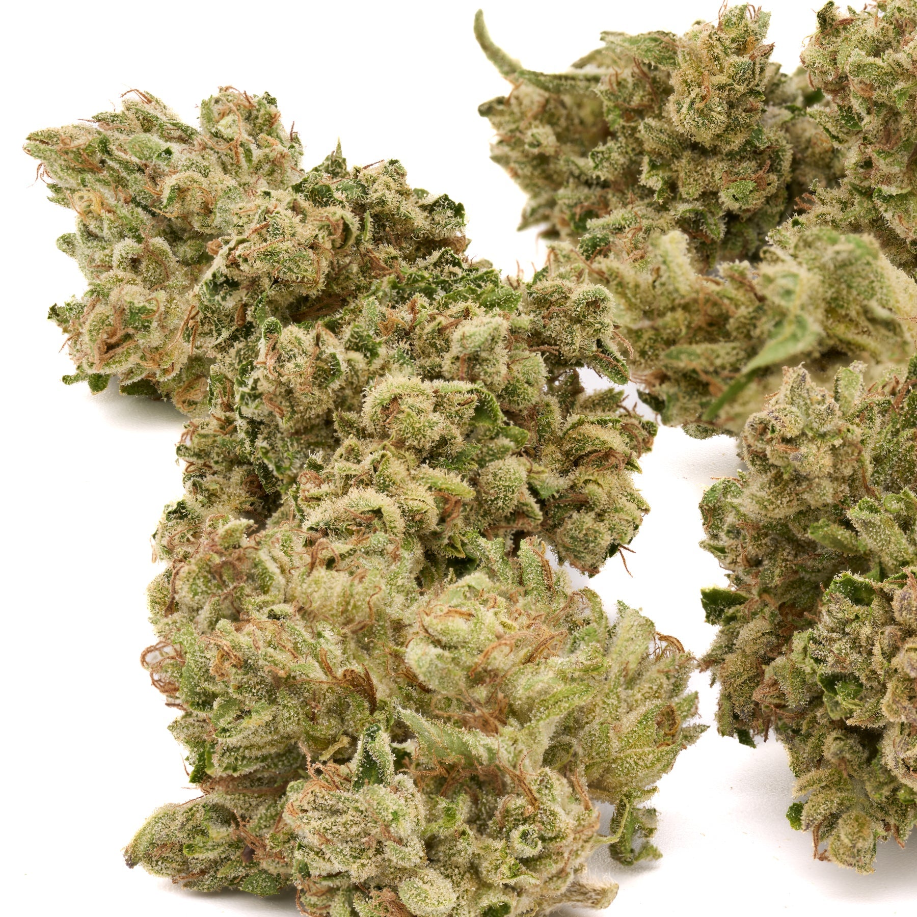 MAC #1 THCa Hemp Flower - Plants