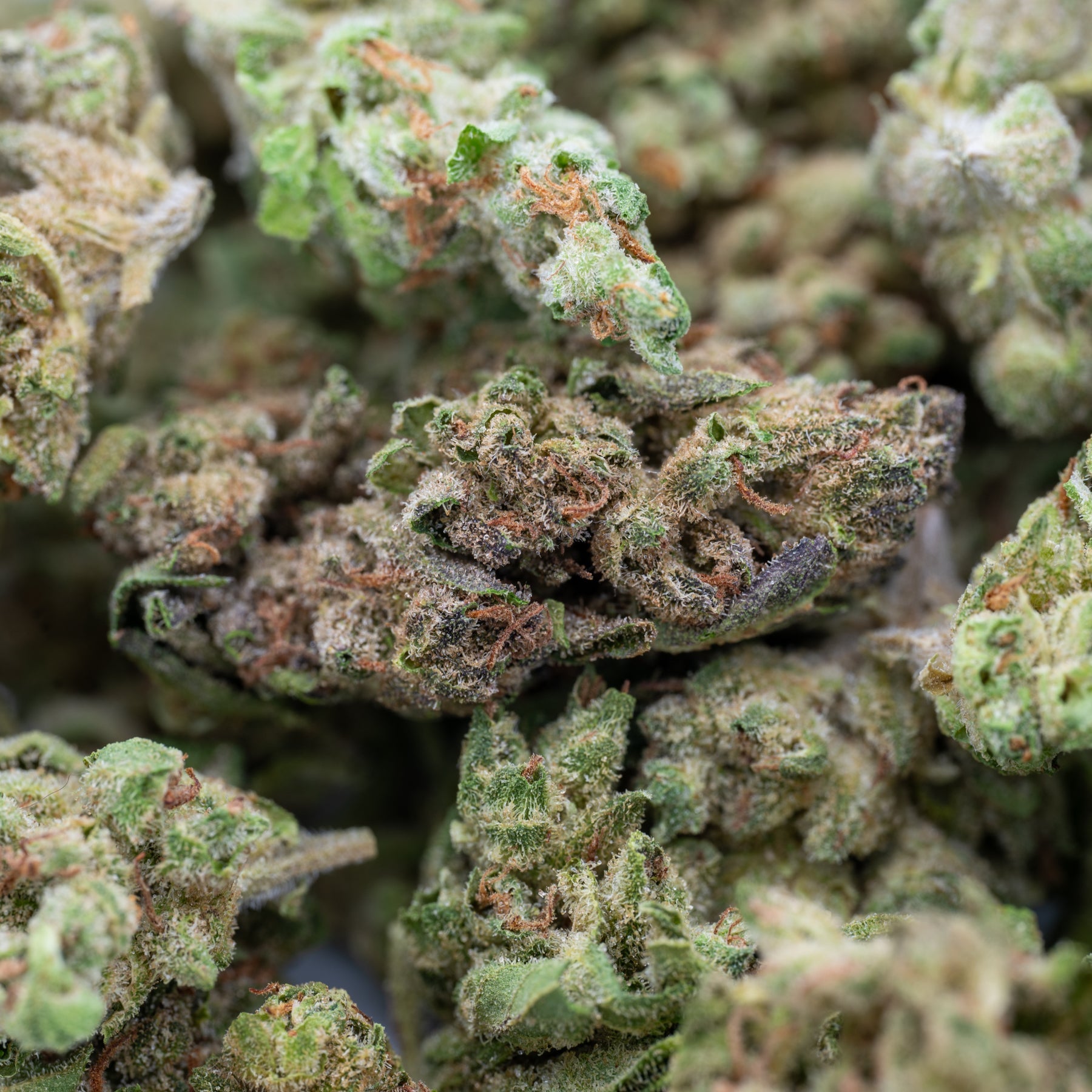 MAC #1 THCa Hemp Flower Smalls - Plants