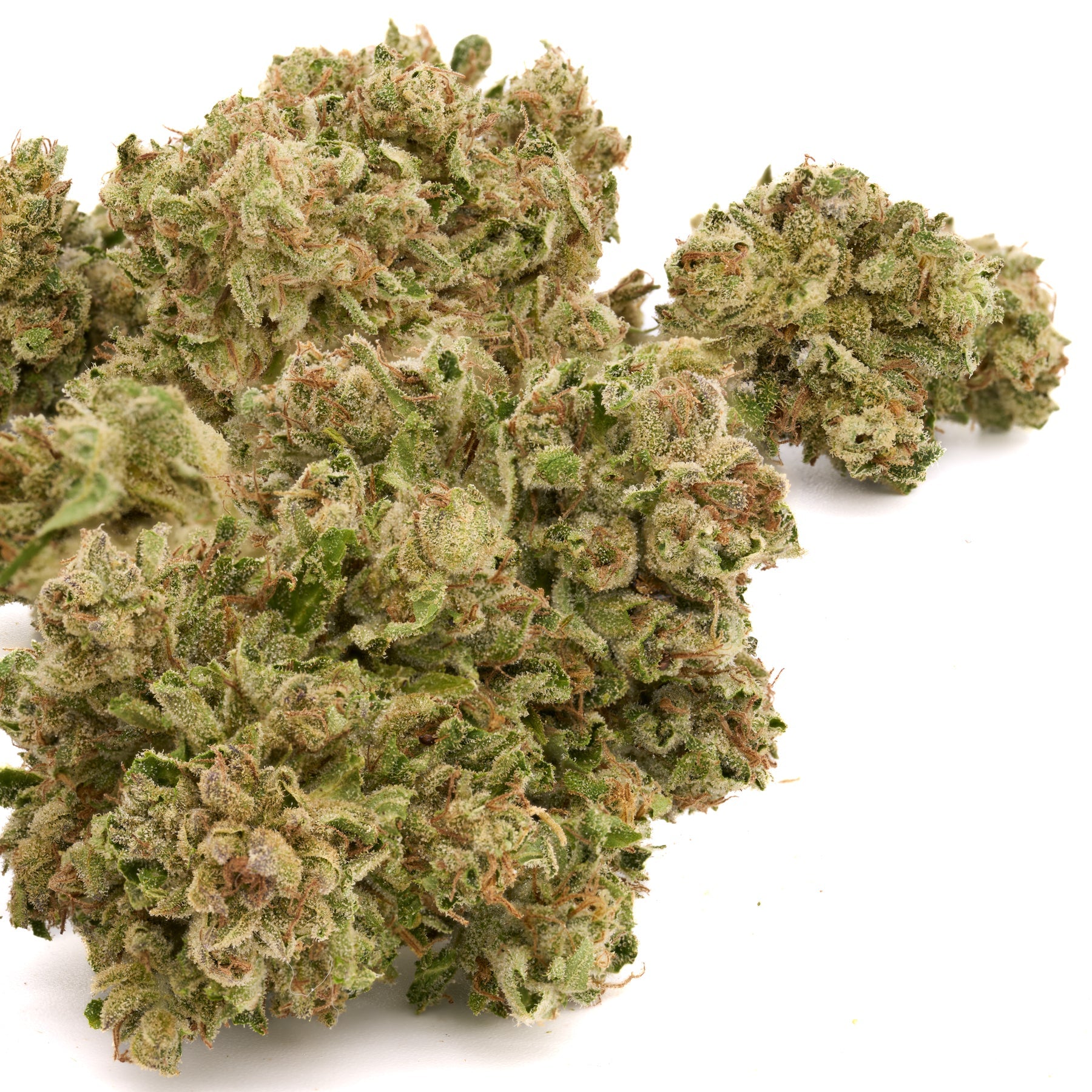 MAC #1 THCa Hemp Flower Wholesale - Plants