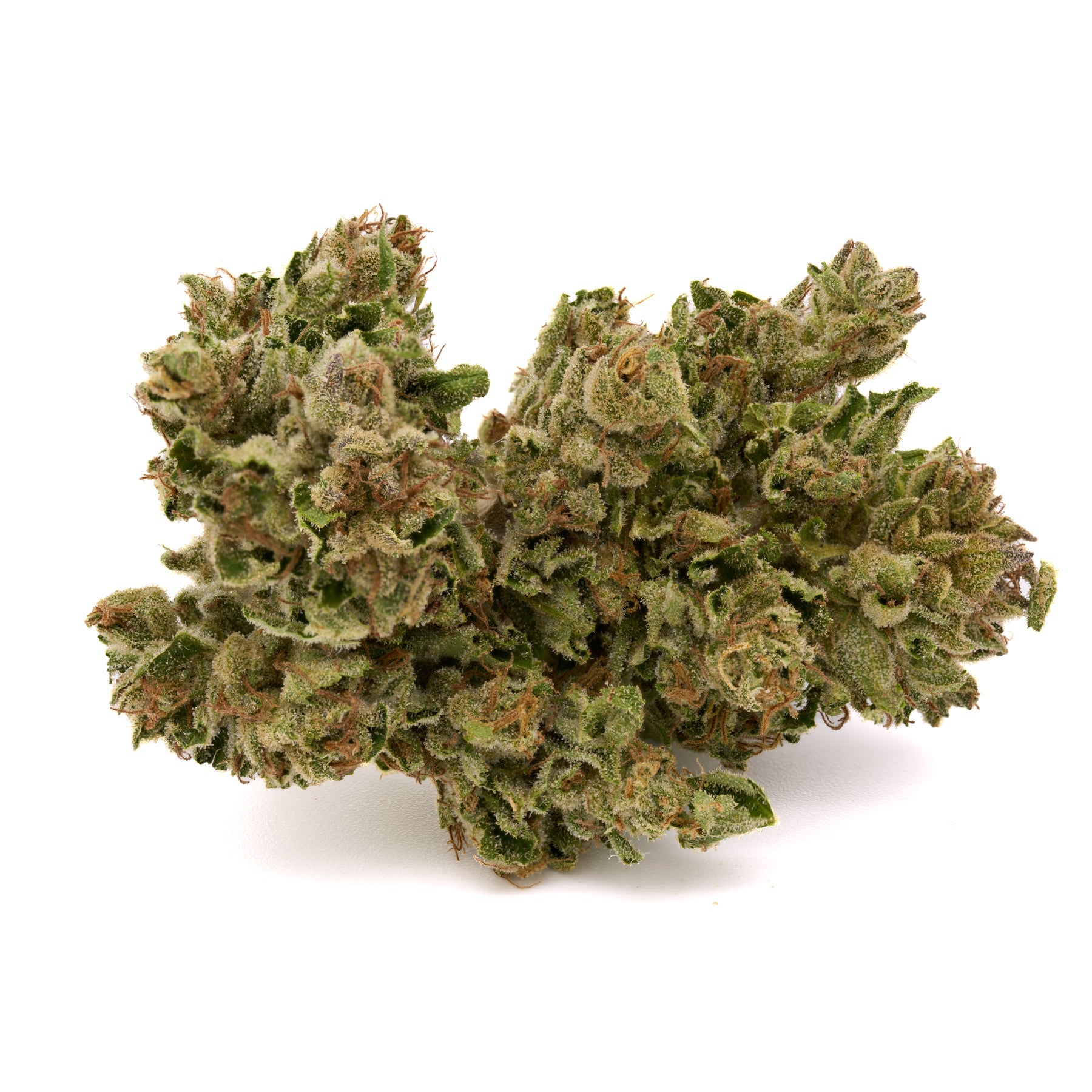 MAC #1 THCa Hemp Flower Wholesale - Plants