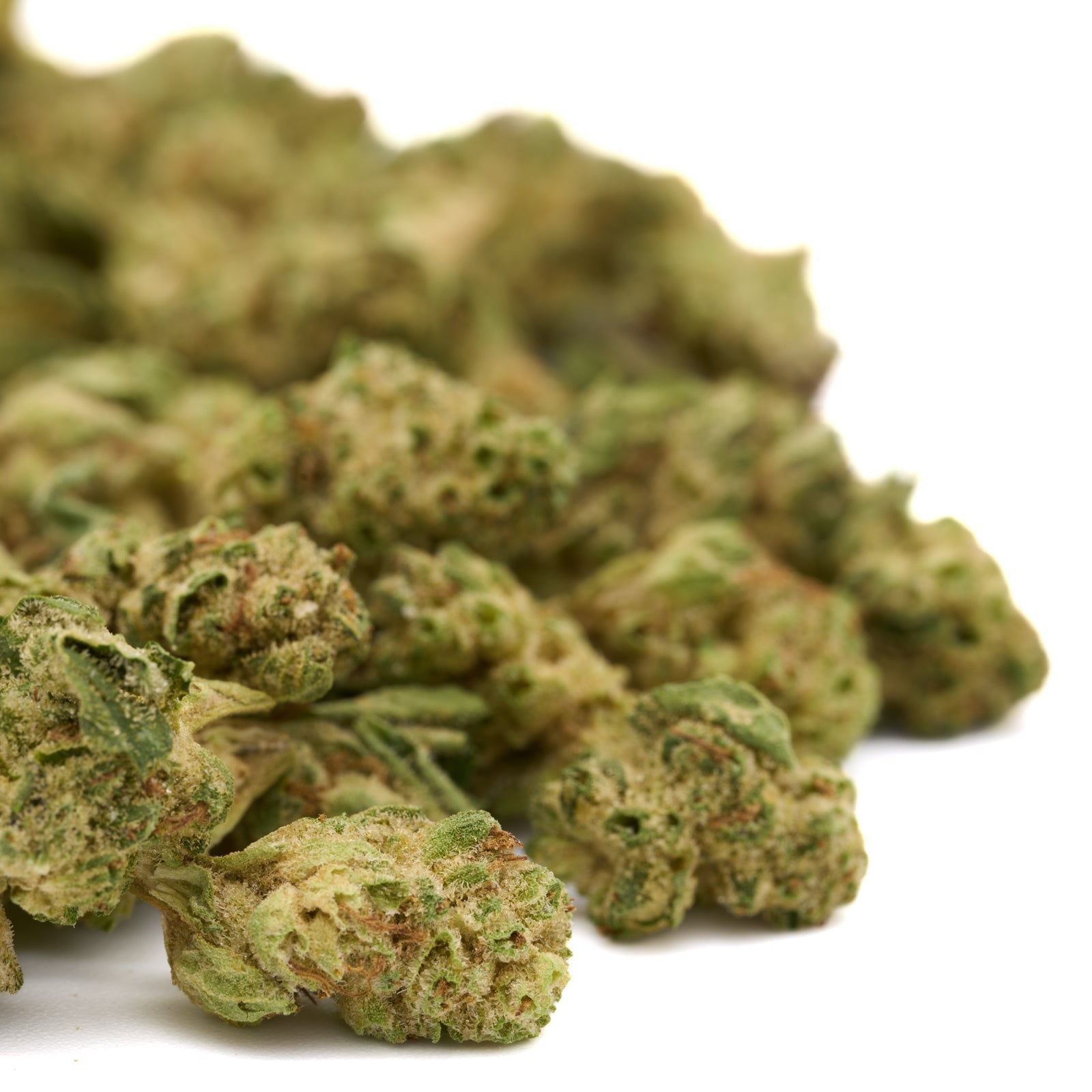 Dried cannabis buds from MAC #1 THCa Hemp Flower Wholesale Smalls, premium hemp flower wholesale