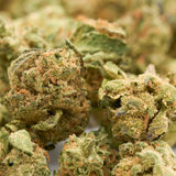 Dried hemp flower buds with trichomes and orange hairs from MAC #1 THCa Hemp Flower Wholesale Smalls