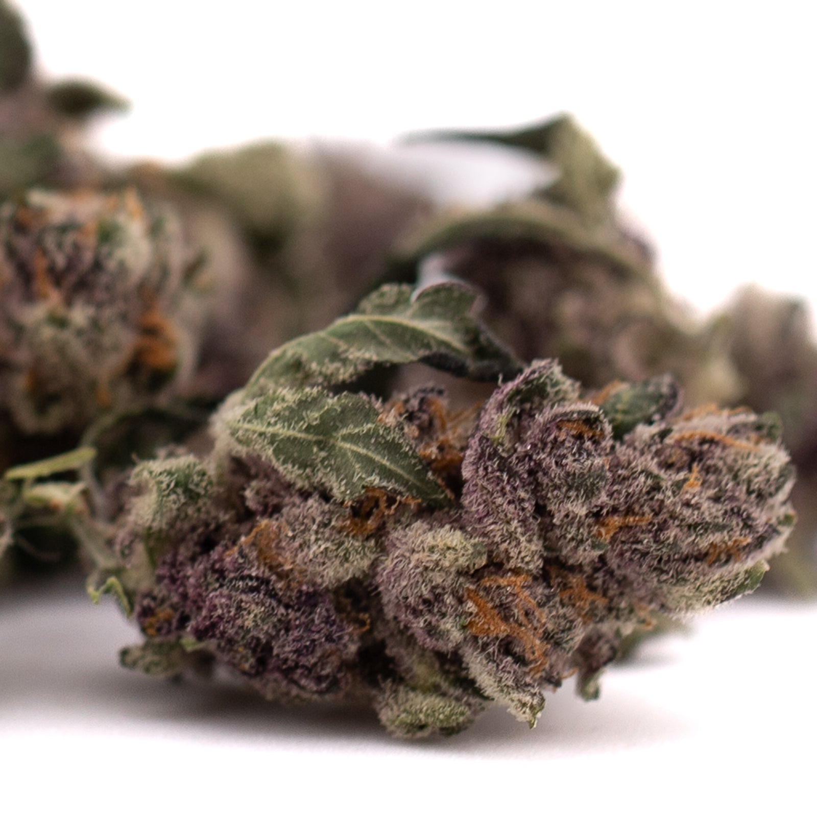 Close-up of Mac And Gary Indoor THCa Flower Smalls with purple hues and frosty trichomes