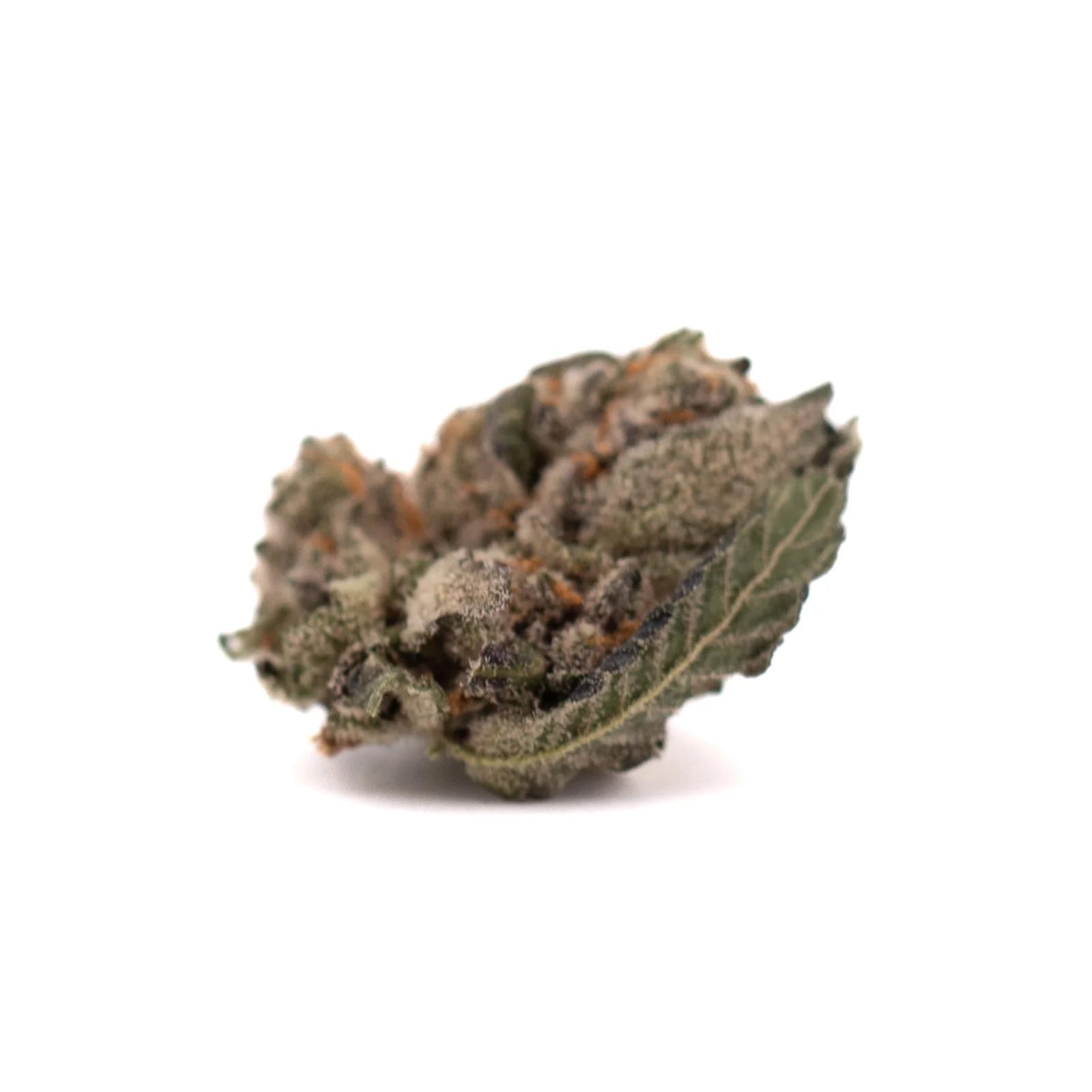 Dried Mac And Gary Indoor THCa Flower Smalls with trichomes and orange pistils