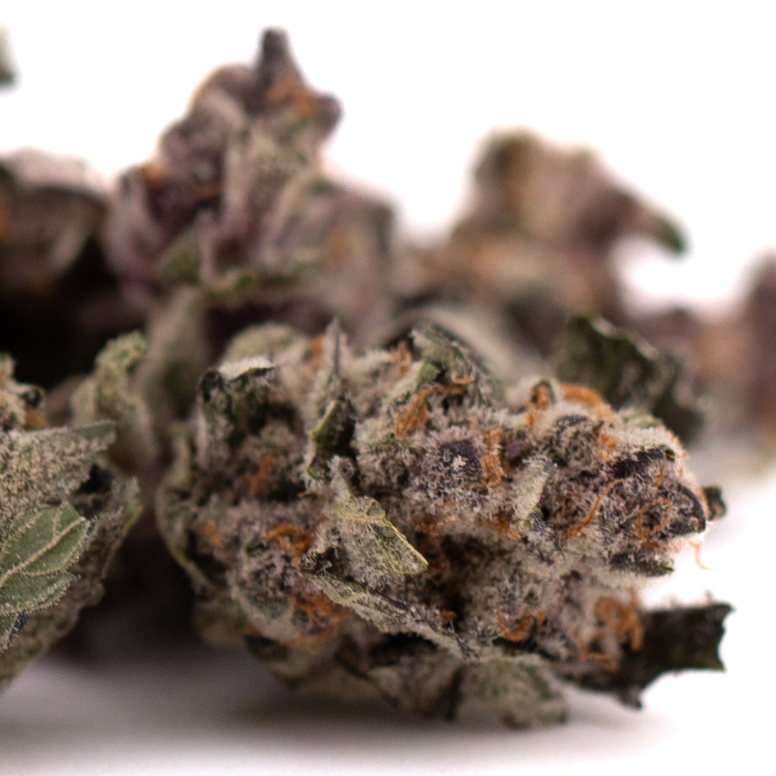 Dried cannabis buds with trichomes and orange pistils, orchard swirl synergy gary indoor thca flower