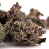 Dried cannabis buds with trichomes and orange pistils, orchard swirl synergy gary indoor thca flower