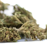 Dense green magik cbd hemp flower smalls with fine trichomes and orange pistils for cbd smalls full-term use