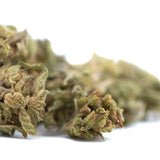 A dense green magik cbd flower smalls full-term hemp bud covered in fine trichomes with orange pistils