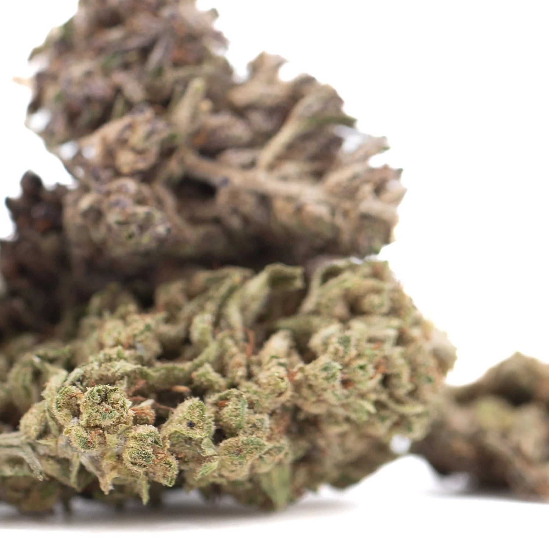 A dense textured magik cbd creamy blueberry hemp flower full-term bud with green and brown hues covered in fine trichomes