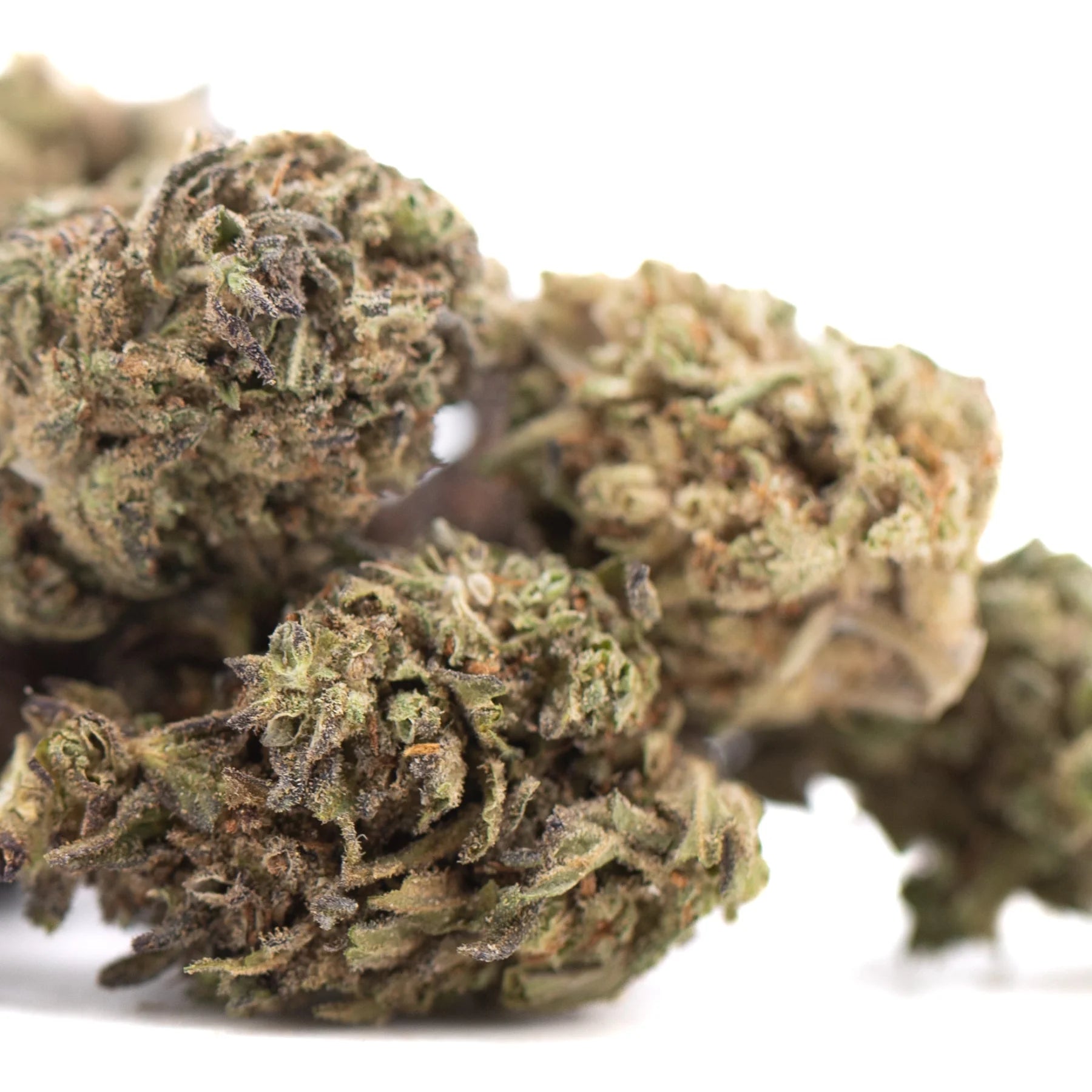 Magik cbd creamy blueberry hemp flower full-term with dense green and brown buds covered in trichomes