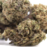 Green and purple magik cbd creamy blueberry hemp flower full-term buds with dense frosty texture for wholesale sale