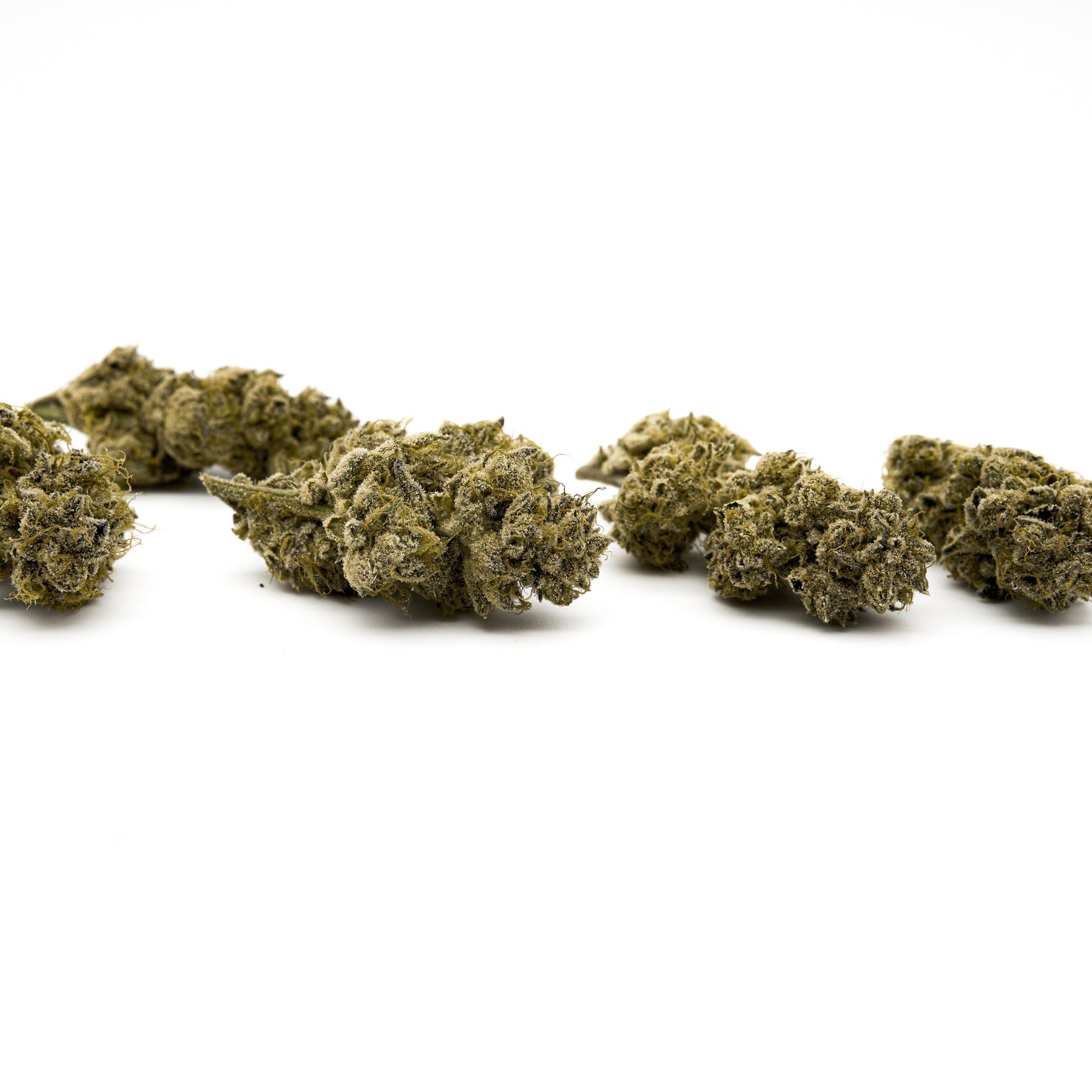 Maria’s Cookies Indoor THCa Flower - Plants