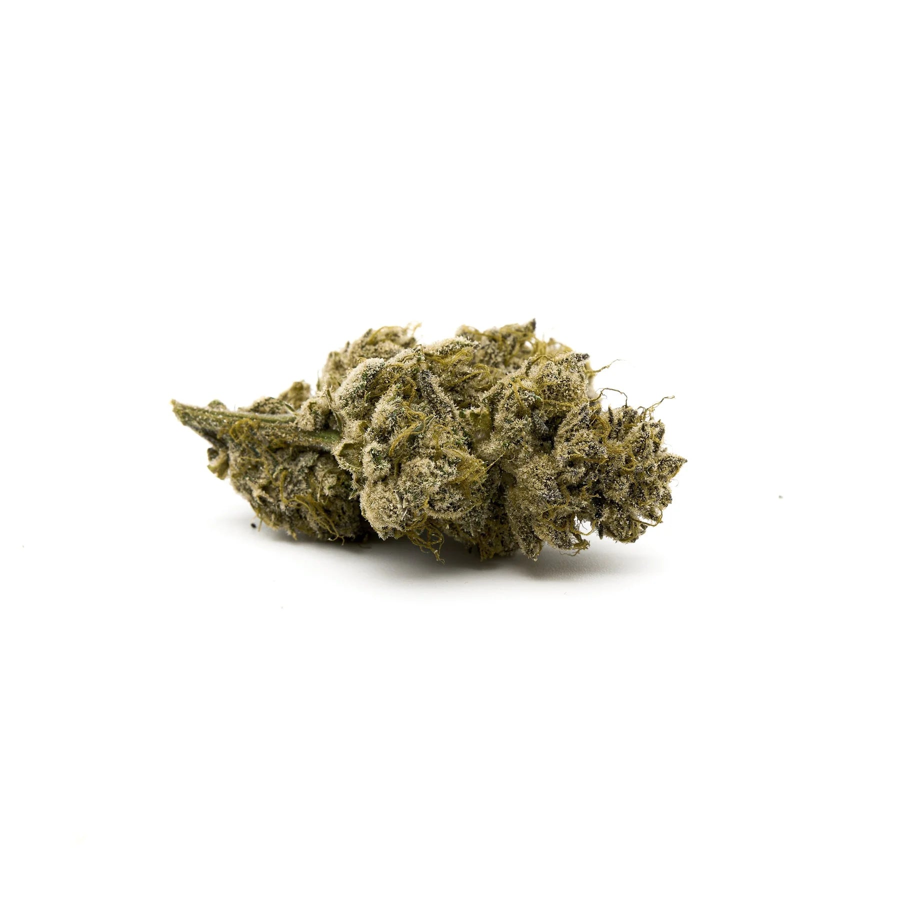Maria’s Cookies Indoor THCa Flower - Plants