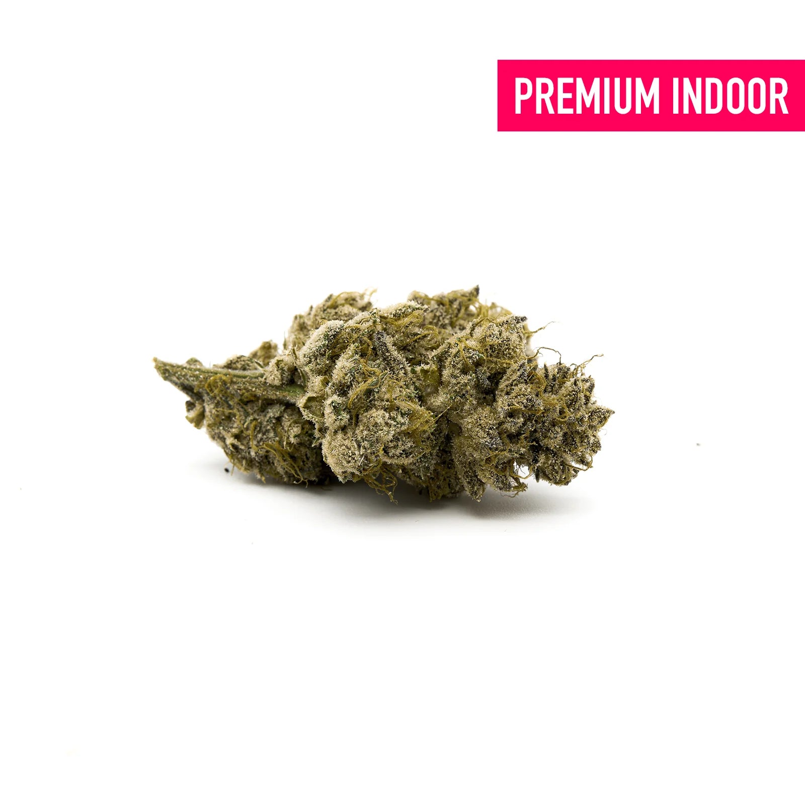 Maria’s Cookies Indoor THCa Flower - Plants