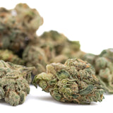 Dried cannabis buds from Maria’s Cookies Indoor THCa Flower Smalls hemp flower