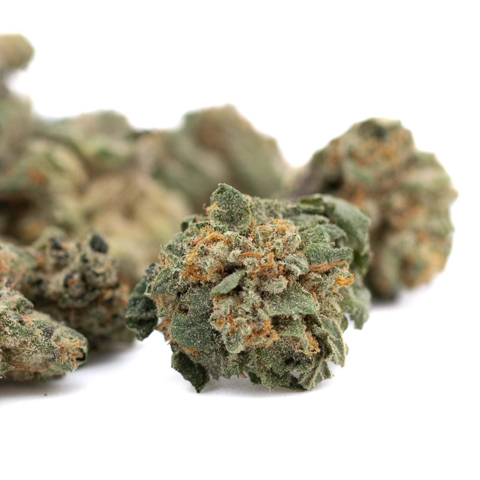 Dried Maria’s Cookies indoor THCa hemp flower buds with trichomes and orange hairs