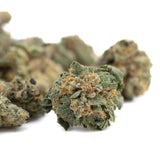 Dried Maria’s Cookies indoor THCa hemp flower buds with trichomes and orange hairs