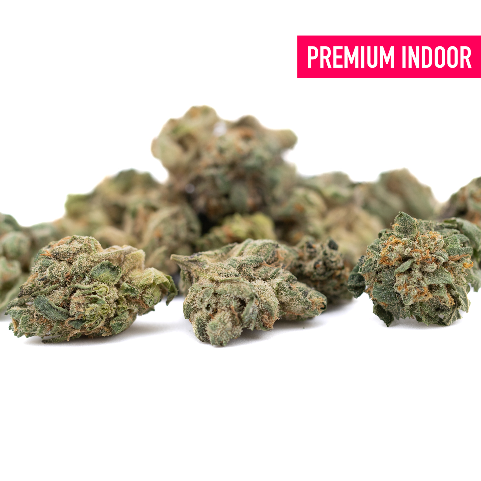 Premium indoor cannabis buds from Maria’s Cookies THCa hemp flower collection
