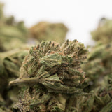 Close-up of Maverick CBD Hemp Flower Smalls with rich trichomes and pistils