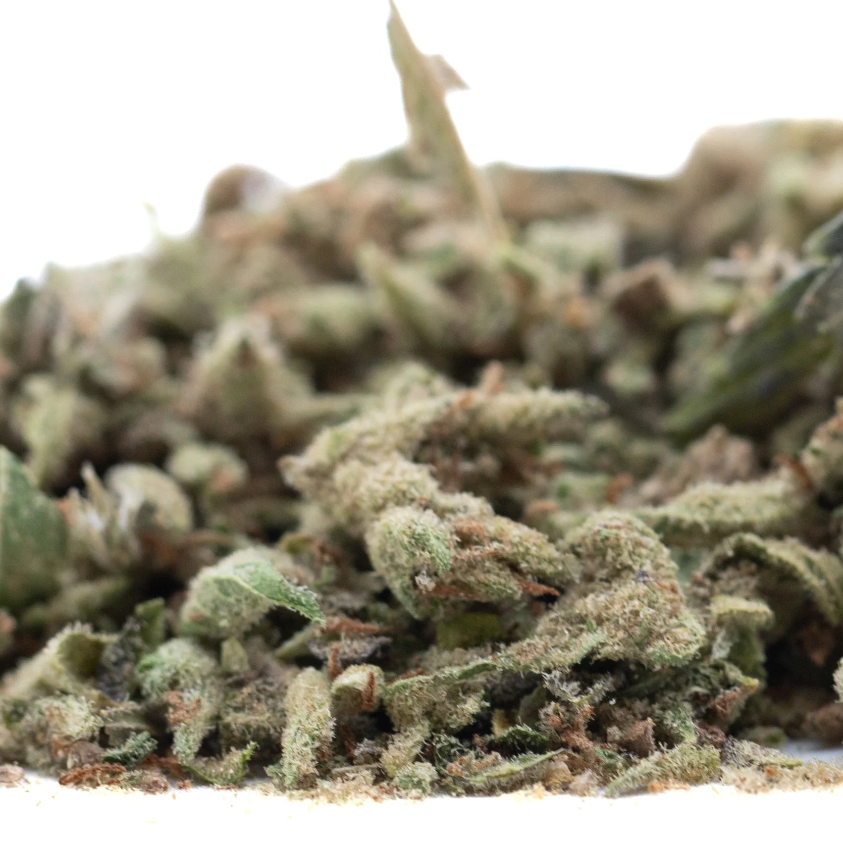 A pile of mega gummie bearz thca trim hemp flower buds with green brown and white trichomes for wholesale use