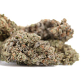 Mega Gummie Bearz THCa flower bud with green hues and trichomes