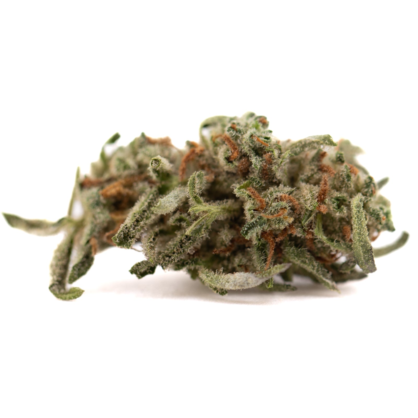 Premium Mega Gummie Bearz THCa Flower Smalls green bud with orange highlights