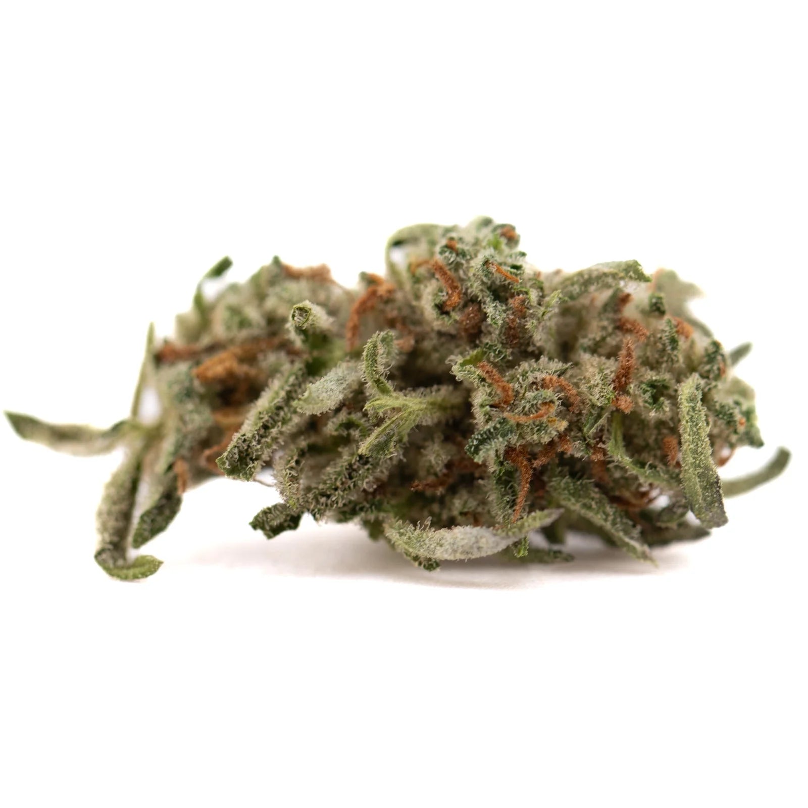Premium Mega Gummie Bearz THCa Flower Smalls green bud with orange highlights