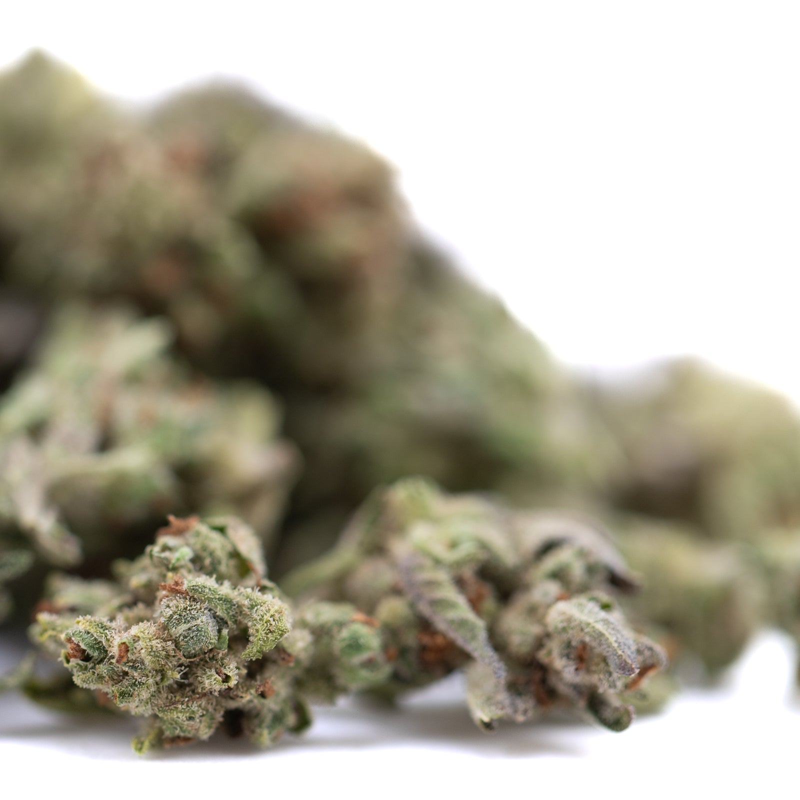 Premium Mega Gummie Bearz THCa Flower: green bud with trichomes