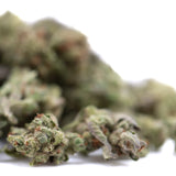 Premium Mega Gummie Bearz THCa flower smalls with green bud and trichomes