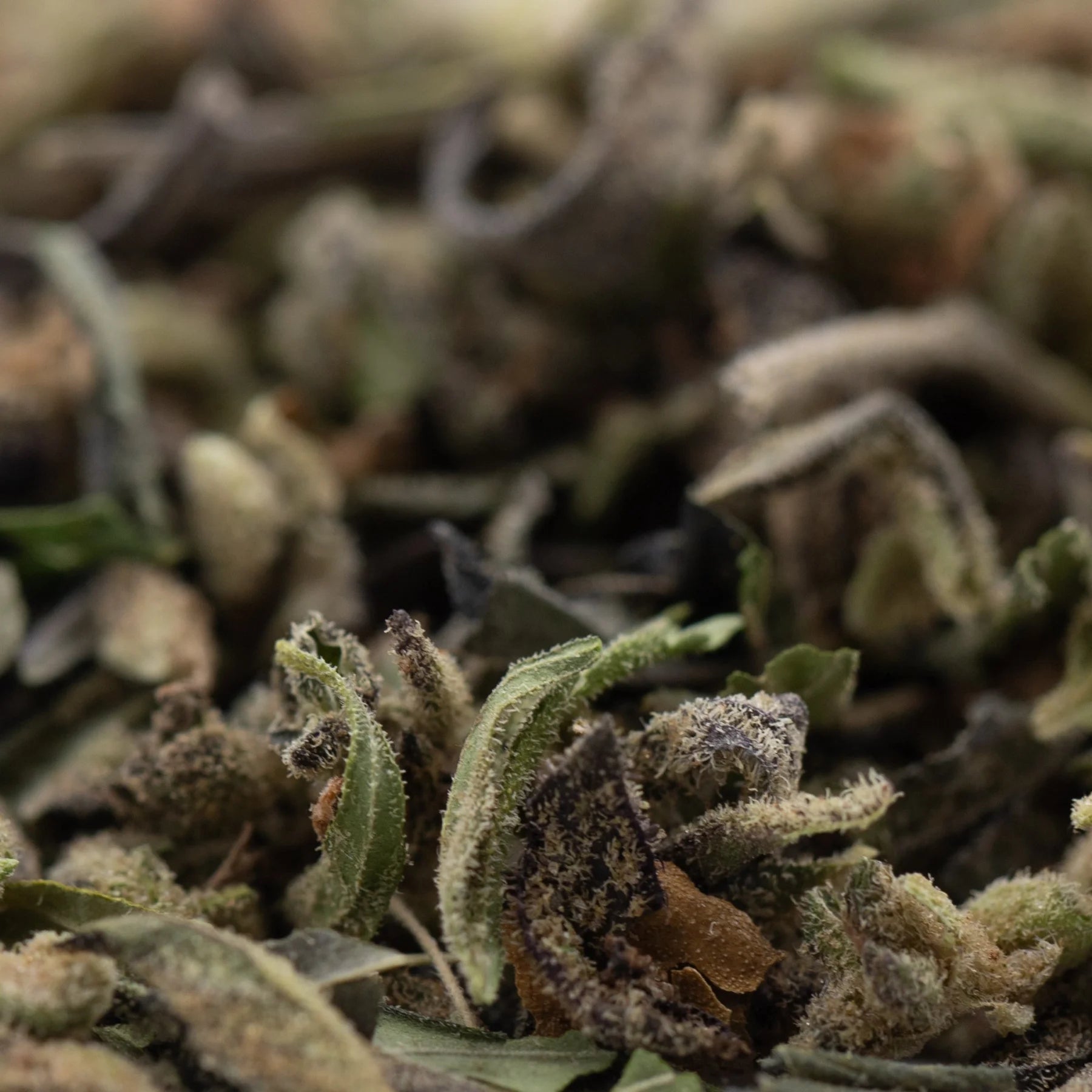 Dried mendo breath thca trim with green and brown hues covered in fine trichomes resembling vanilla caramel candy