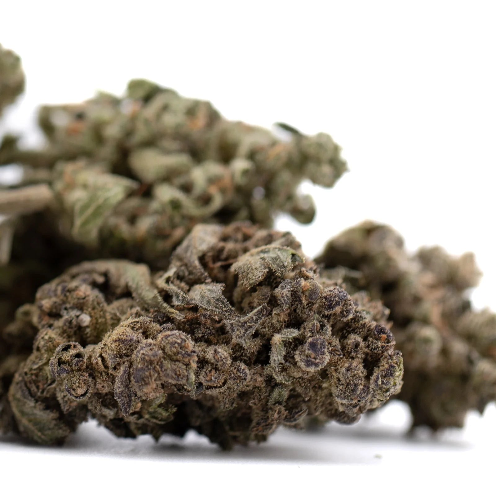 Premium Mendo Breath THCa flower bud with dense trichomes