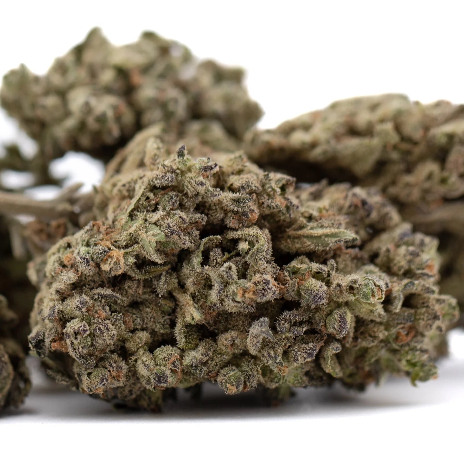 Premium Mendo Breath THCa flower bud with dense trichomes
