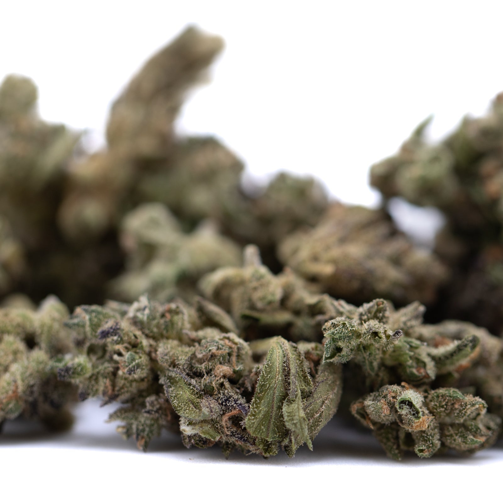 Mendo Breath THCa Smalls flower with green and brown buds, dense resin glands