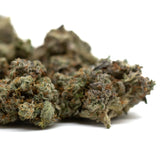 Dense trichome-covered Mint Runtz Indoor THCa flower with orange pistils, premium THC flower