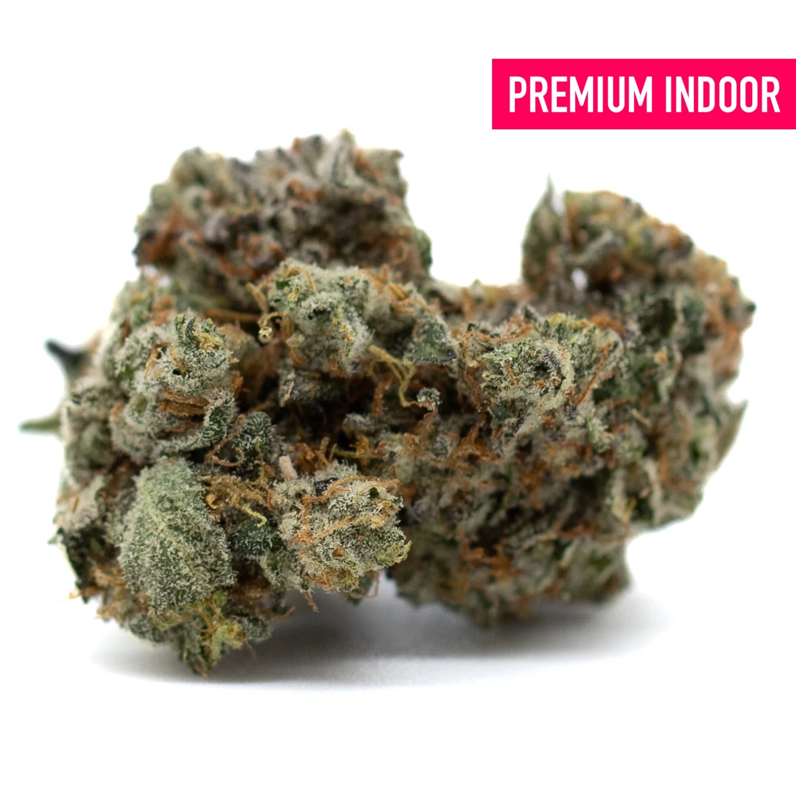 Dense trichome-covered Mint Runtz Indoor THCa Flower with orange pistils, premium THC flower